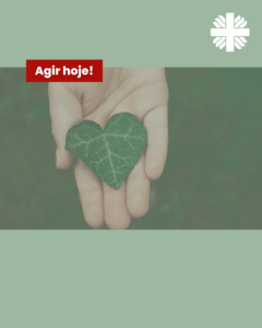 compromisso com a ecologia integral